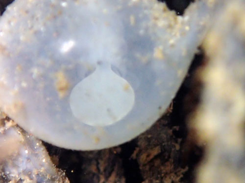 ؂̏tĂɂČuRECJ̗vBRECJ̎YV[ɑłȂĂÁA1邱Ƃł܂B