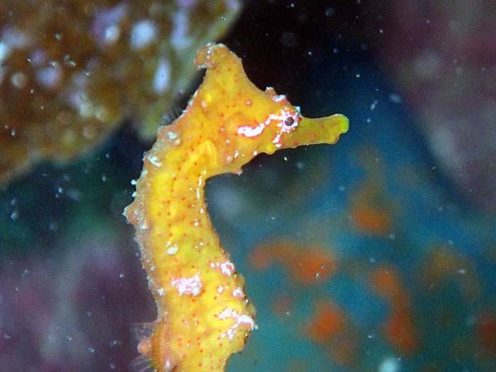 ĂɌ邱Ƃ̂łu^cmIgVSvłB