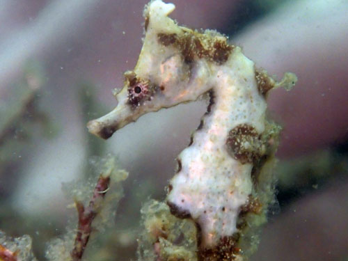 ĂɌ邱Ƃ̂łu^cmIgVSvłB