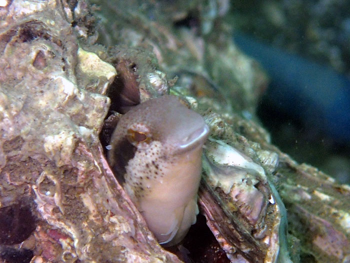 ʔN邱Ƃ̂łujWM|vđOɉẙk̒ɎYāAĂV[邱Ƃł܂B