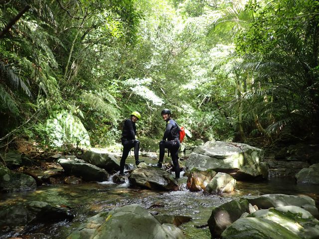 いざ、ジュラシックなジャングルに出発!