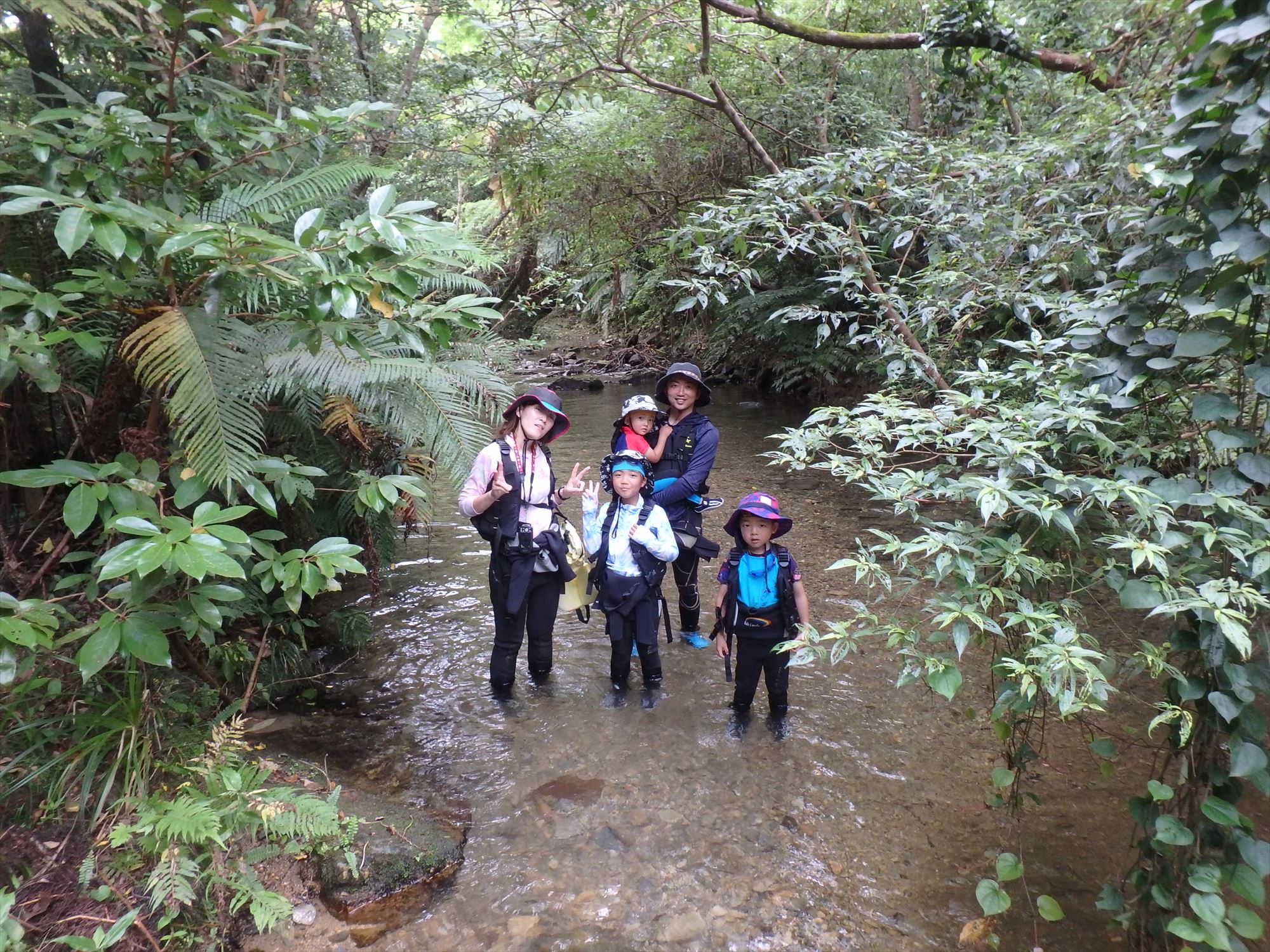 󂭗̊ɂȂ̂ŁAql̂QnjI