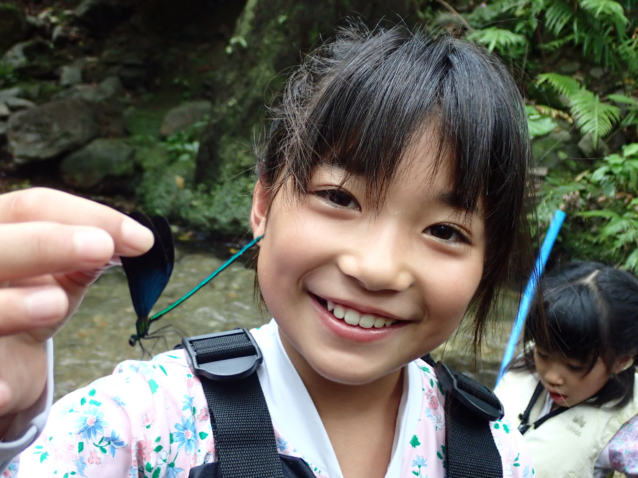 滝までの道には珍しい生き物や、