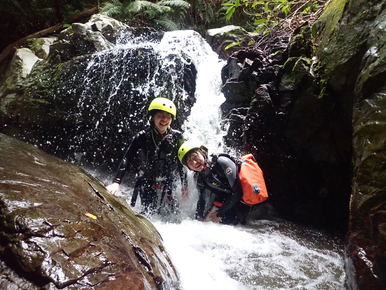 ������؂�A