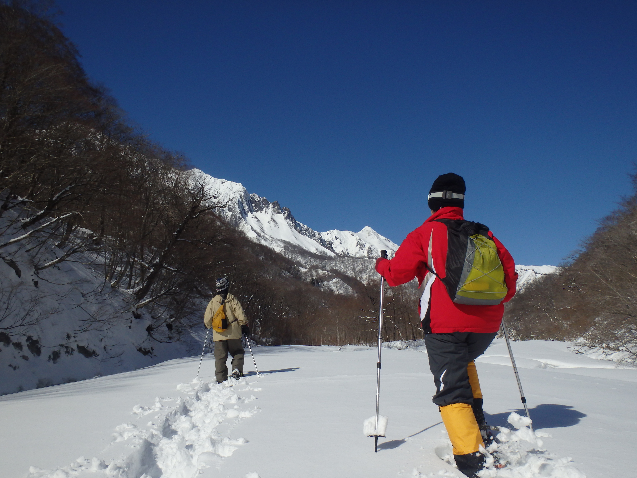 こんな絶景が見れちゃうかも♪