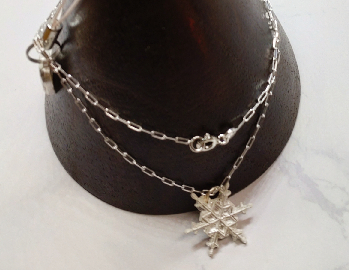 ʐ^́Ǎ̂ql̍iBAoオ̍îʐ^B点ĂĂ܂B 