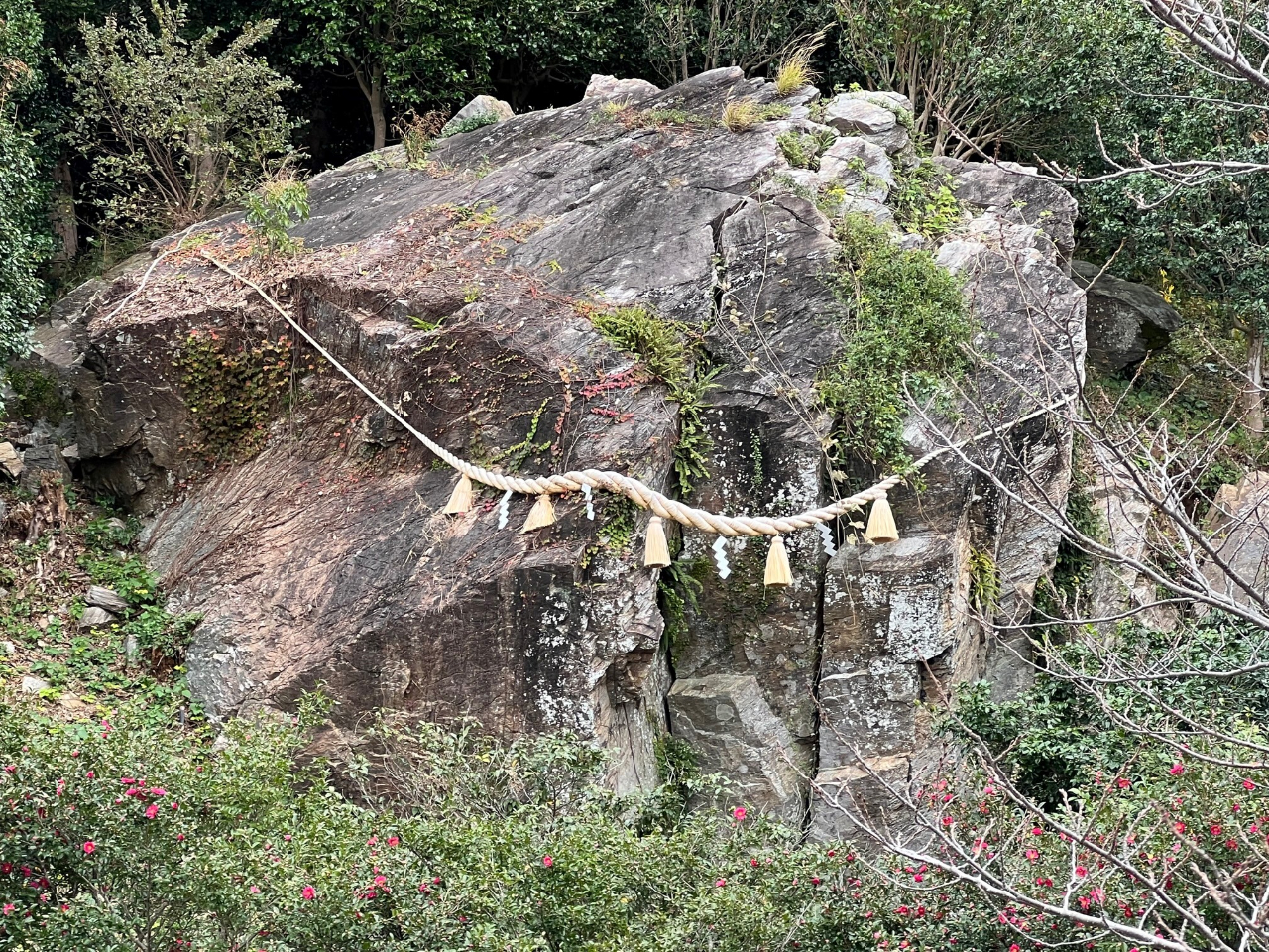 椿公園の大岩です。パワースポットです。