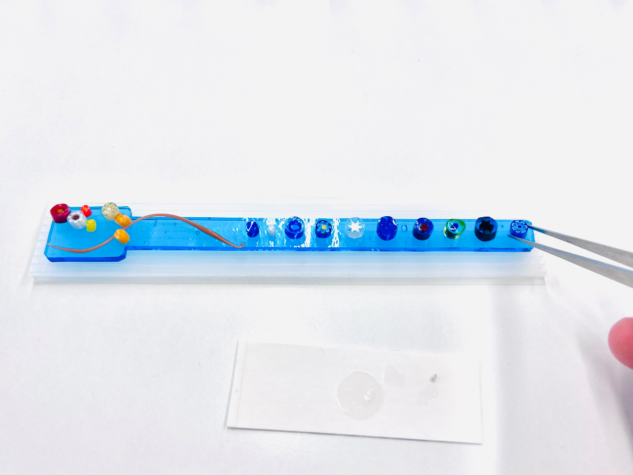 x[X̃KX̏ɍDȃKXIł̂Ă܂I