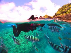 ★熱帯魚に囲まれる竜宮城体験♪