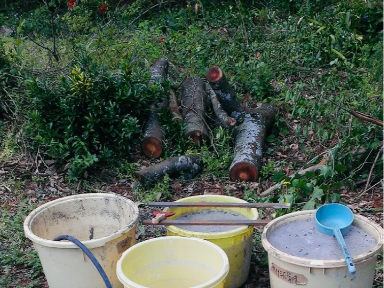 釉薬は元窯手づくりの木灰釉薬。しっとりと柔らかな風合いが特徴です。