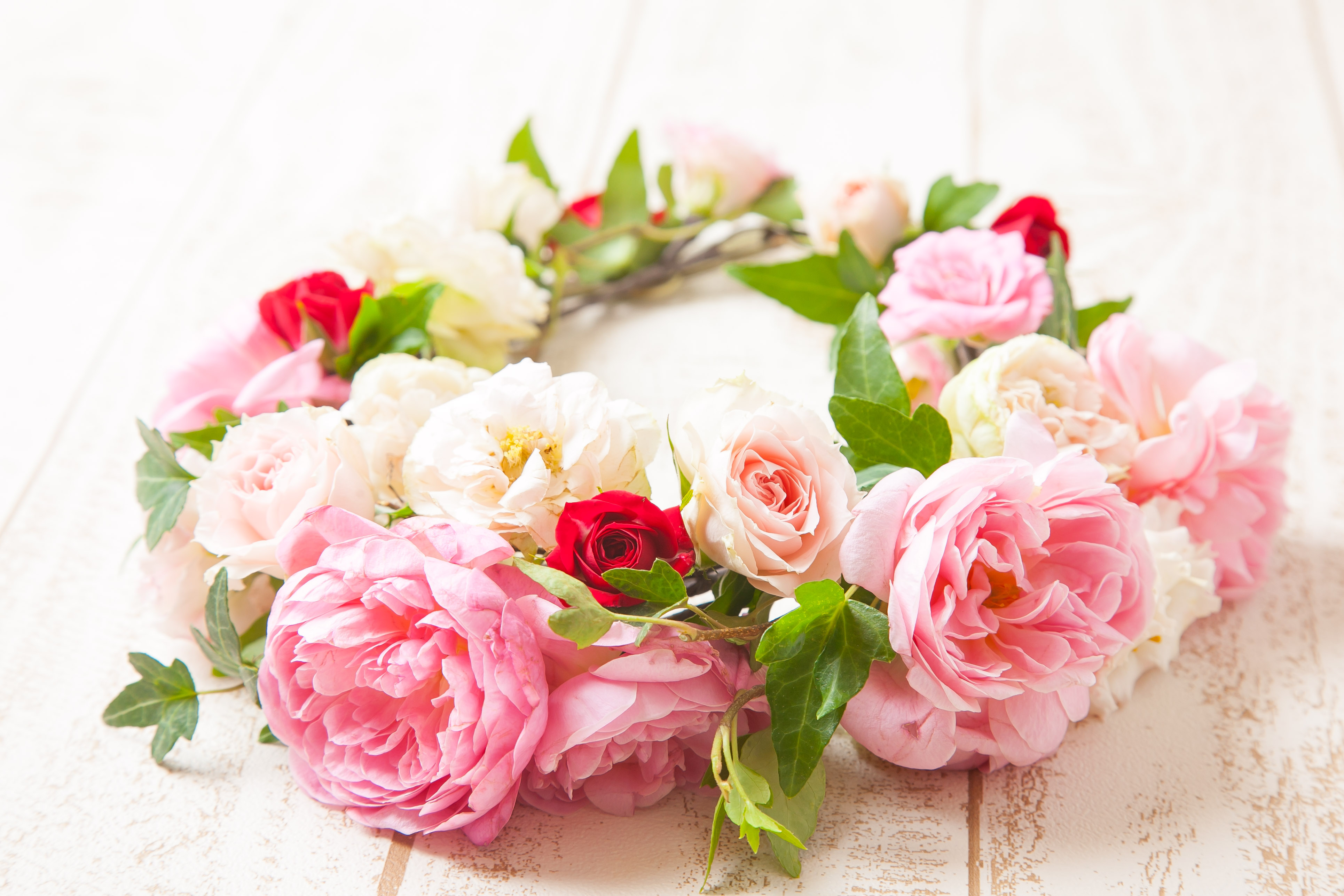 v[gɂœKIԂ𑩂˂ăbsO܂łB
ԉ畉̉ԑbX