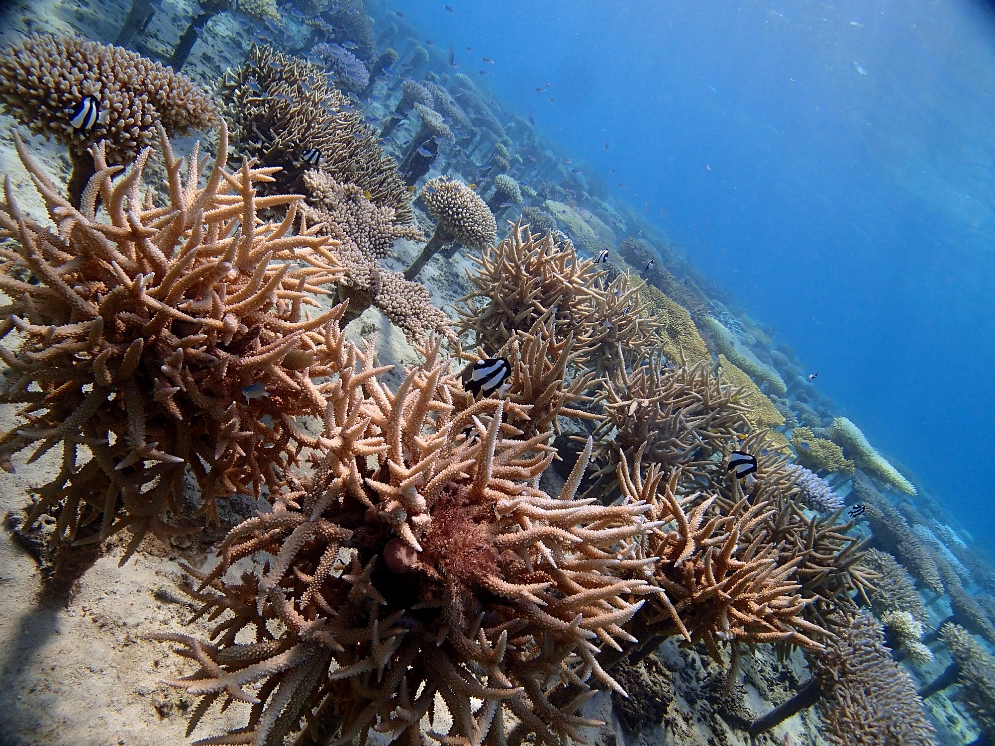 `߂|CgőD̐SzAĂɂ͎X̐XLĂ饥