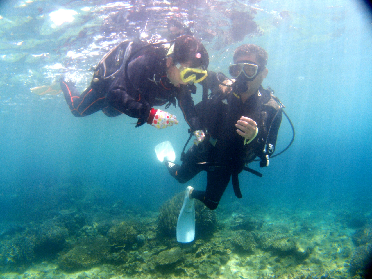 [󂢂̂ŁA߂Ă̕₨qlɊ܂I