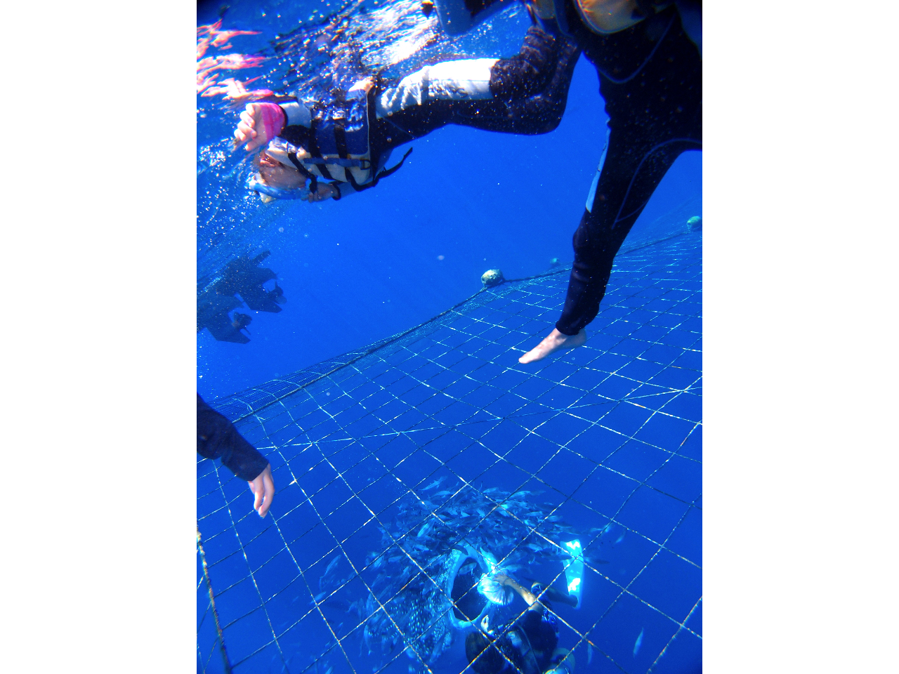 �y�����ˁ�