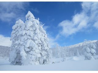 オロフレ峠の樹氷