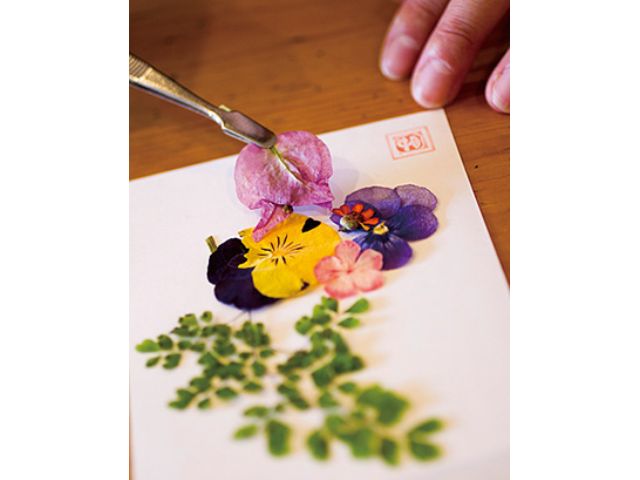 湯布院 押し花を作ってみませんか 押し花体験 しおり ハガキ2枚 1100円 ゆふいんフローラハウス じゃらん遊び体験 湯布院 押し花を作ってみませんか 押し花体験 しおり ハガキ2枚 1100円 ゆふいんフローラハウス じゃらん遊び体験