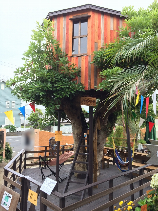 【地域共通クーポン対象】樹齢80年の木の上のお家でドキドキワクワク♪ツリーハウス...