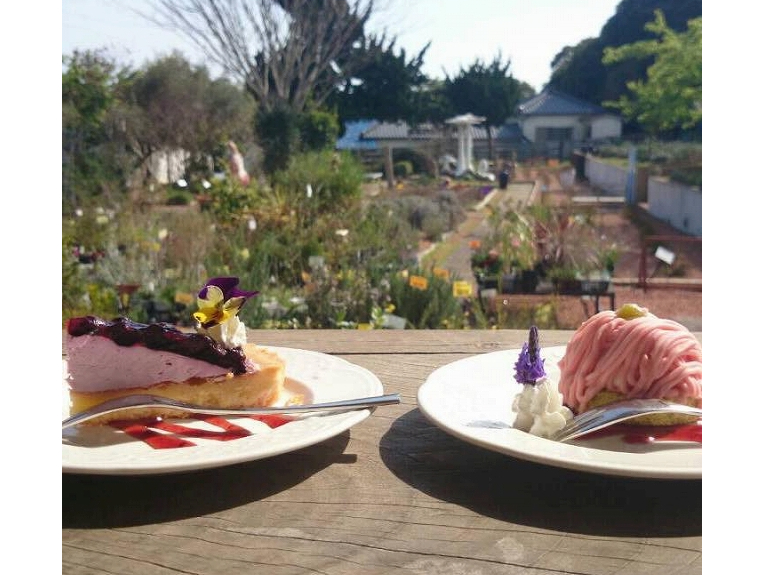 c[nEX̃eXȂȂ뉀𒭂߂ȂeB[^C⃉`\I