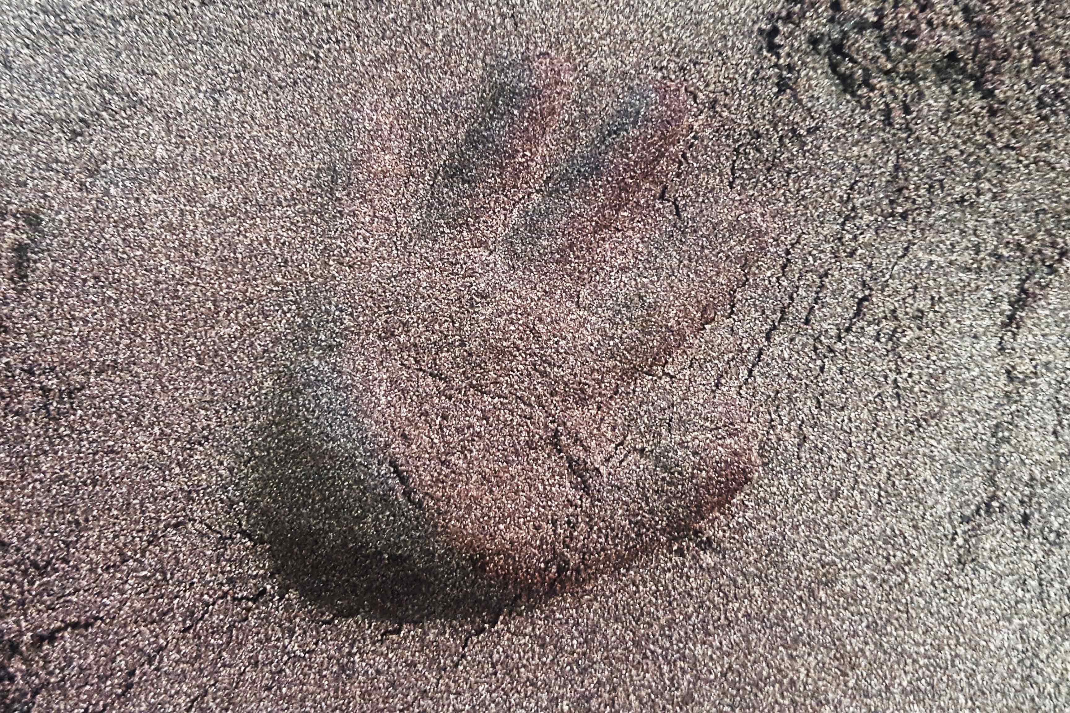 ƑňꏏɎ``܂傤p[q̓O[łOKI