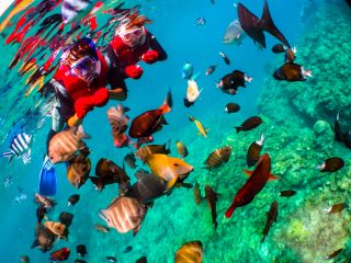 沖縄 青の洞窟 可愛いお魚と青の洞窟シュノーケル 写真無制限 餌付け付や星の砂もプレゼント 沖縄ダイビングと青の洞窟のseamole じゃらん遊び体験 沖縄 青の洞窟 可愛いお魚と青の洞窟シュノーケル 写真無制限 餌付け付や星の砂もプレゼント 沖縄ダイビングと青の洞窟のseamole じゃらん遊び体験
