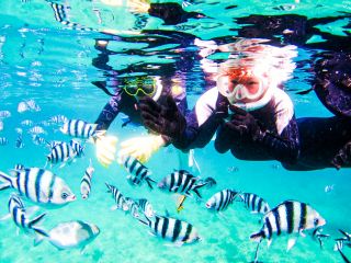 沖縄 青の洞窟 可愛いお魚と青の洞窟シュノーケル 写真無制限 餌付け付や星の砂もプレゼント 沖縄ダイビングと青の洞窟のseamole じゃらん遊び体験 沖縄 青の洞窟 可愛いお魚と青の洞窟シュノーケル 写真無制限 餌付け付や星の砂もプレゼント 沖縄ダイビングと青の洞窟のseamole じゃらん遊び体験