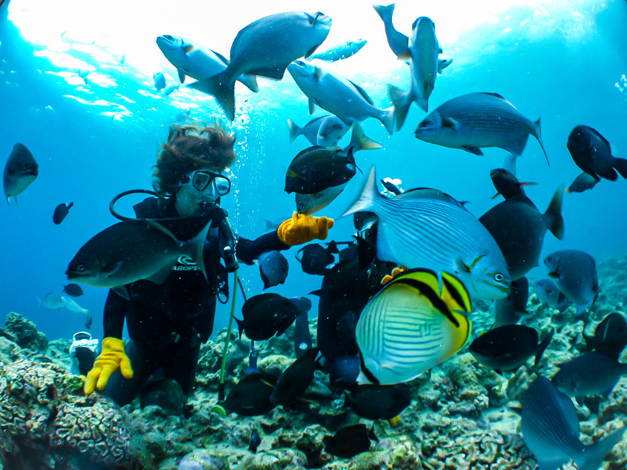 Sݐ؊JÂȂ̂ŉjȕSł!!