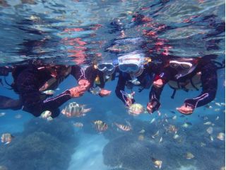 グループ割引 サンゴ礁の海で感動のクリアカヤック体験 無人島 やどかり島 上陸 神秘の洞窟探検 シュノーケル お帰りの際 ツアー写真のデータ無料プレゼント カヤッククラブ グッドライフ じゃらん遊び体験 グループ割引 サンゴ礁の海で感動のクリアカヤック体験 無人島 やどかり島 上陸 神秘の洞窟探検 シュノーケル お帰りの際 ツアー写真のデータ無料プレゼント カヤッククラブ グッドライフ じゃらん遊び体験