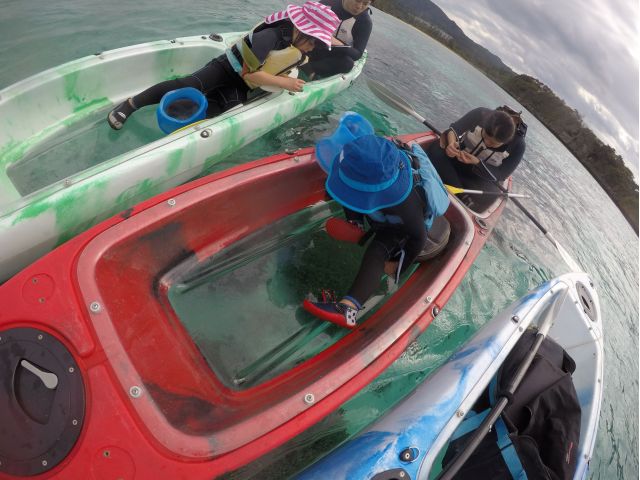 底がクリアなので、カヤックの上から水中観察♪