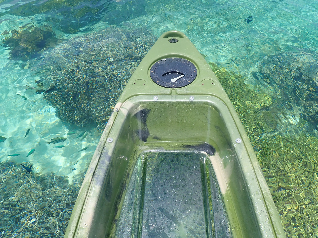 サンゴ礁の海で感動のクリアカヤック体験!