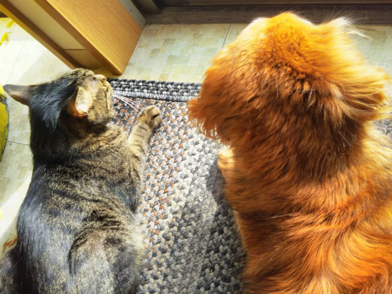 X̒rrȊŔqƊŔłBybgł̂ŁACyɁB