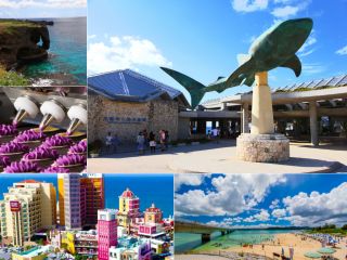 美ら島終日観光バスツアーCコース