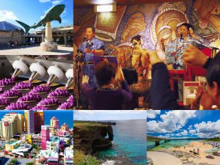 美ら島終日観光バスツアーCコース&あんがま