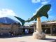 美ら海水族館♪