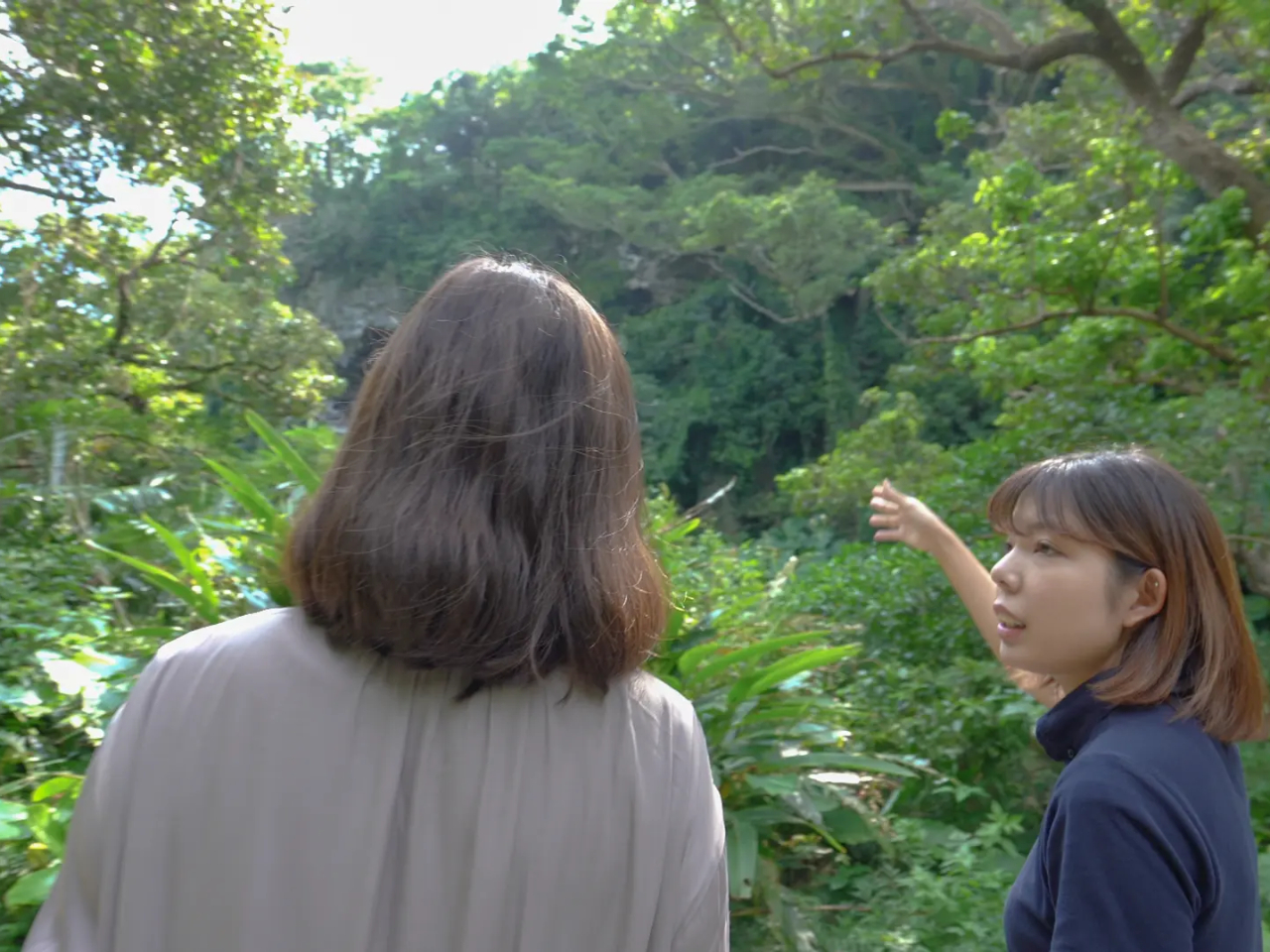 ガンガラーの谷