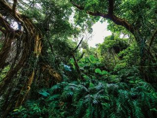 ガンガラーの谷