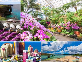 美ら島終日観光バスツアーDコース