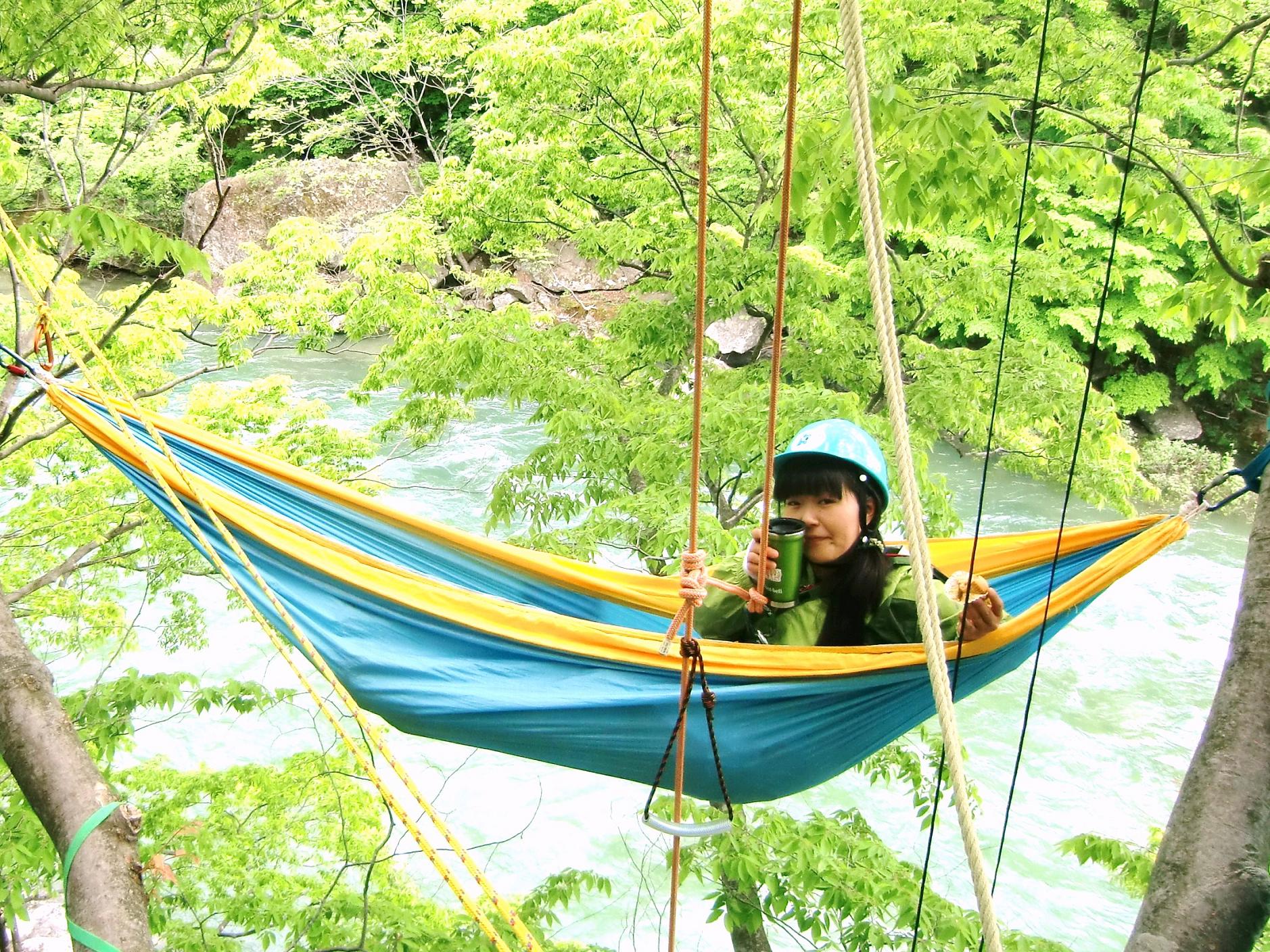 ̃cA[ɎQȂƌȂiF܂B ňރhNƂَq́miʂ̖nI