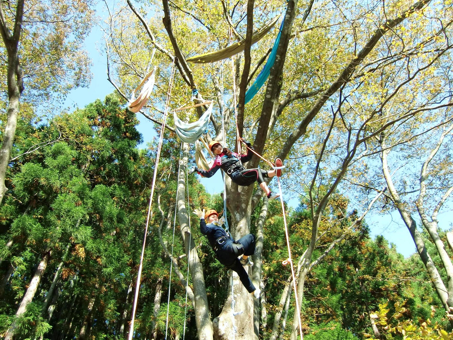 オ鎞̋r͂gēôŁARc߂ΊȒP` nbNJtF̈ʒu͒n10I