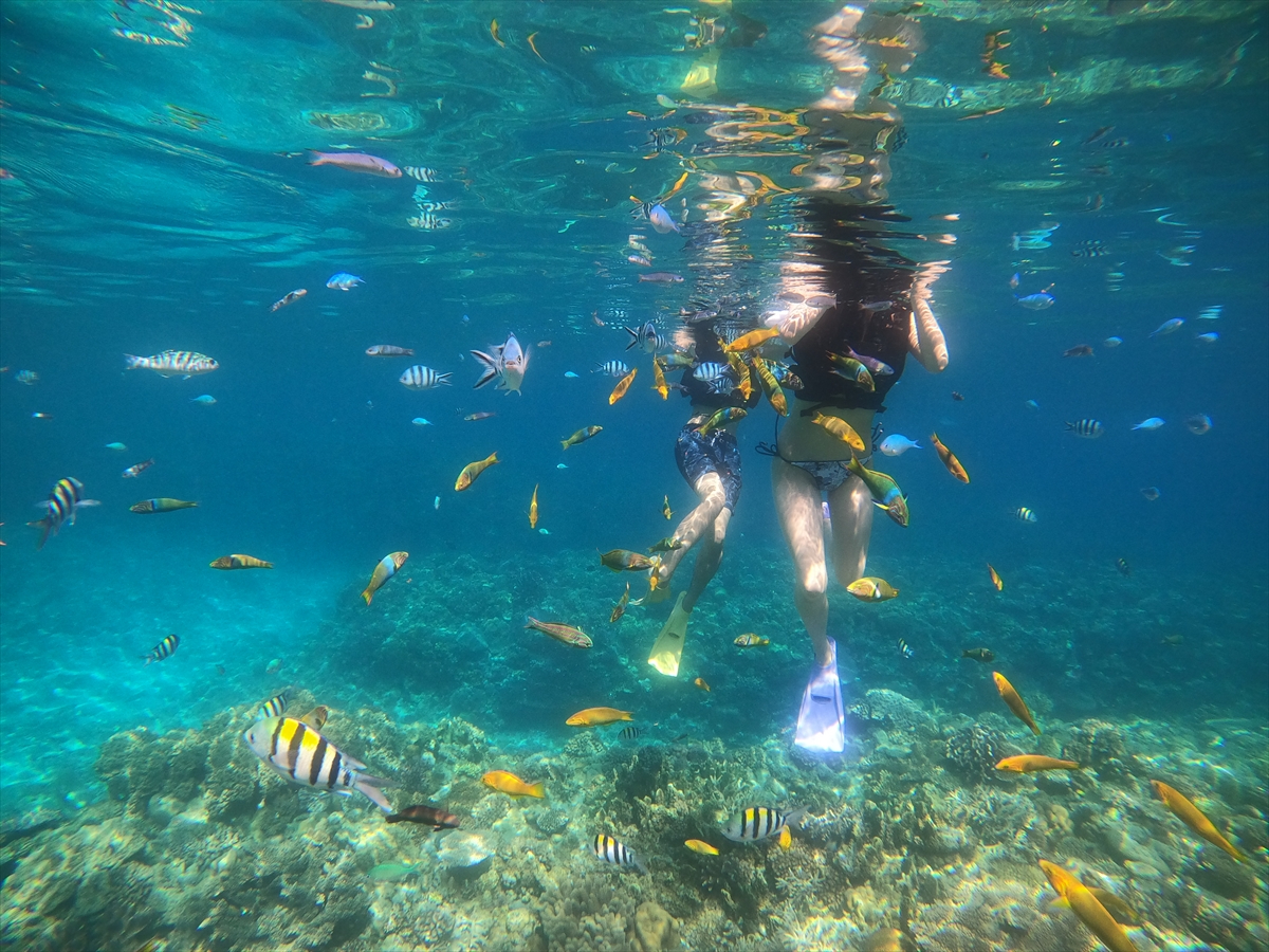 썑L̃JtȂu}uLxv͉̕҂̃CN{Ă܂̂ŁAo̖͗l悭Ă݂ĉˁi΁j