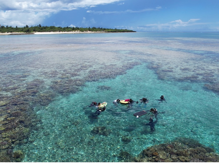 XʂɈ͂܂ꂽ[ł̃Vm[PO͊ԈႢȂI