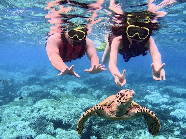 E~K͍߁IR̐Ȃ̂Ő΂ł͂ȂłACXgN^[͊Flɂ邽߂ɑS͂ŒT܂i΁j