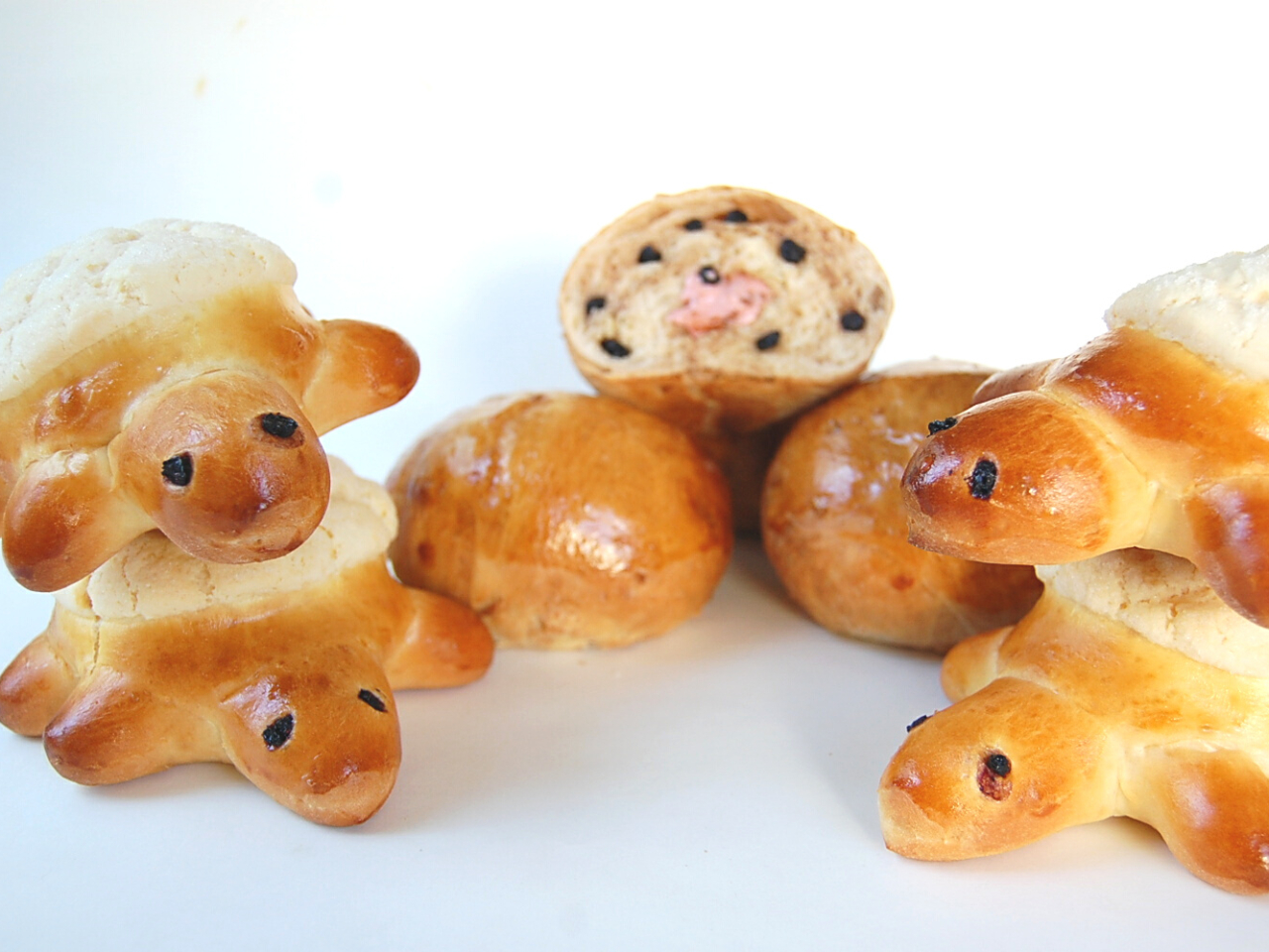 亀のメロンパンはお子様に大人気〜