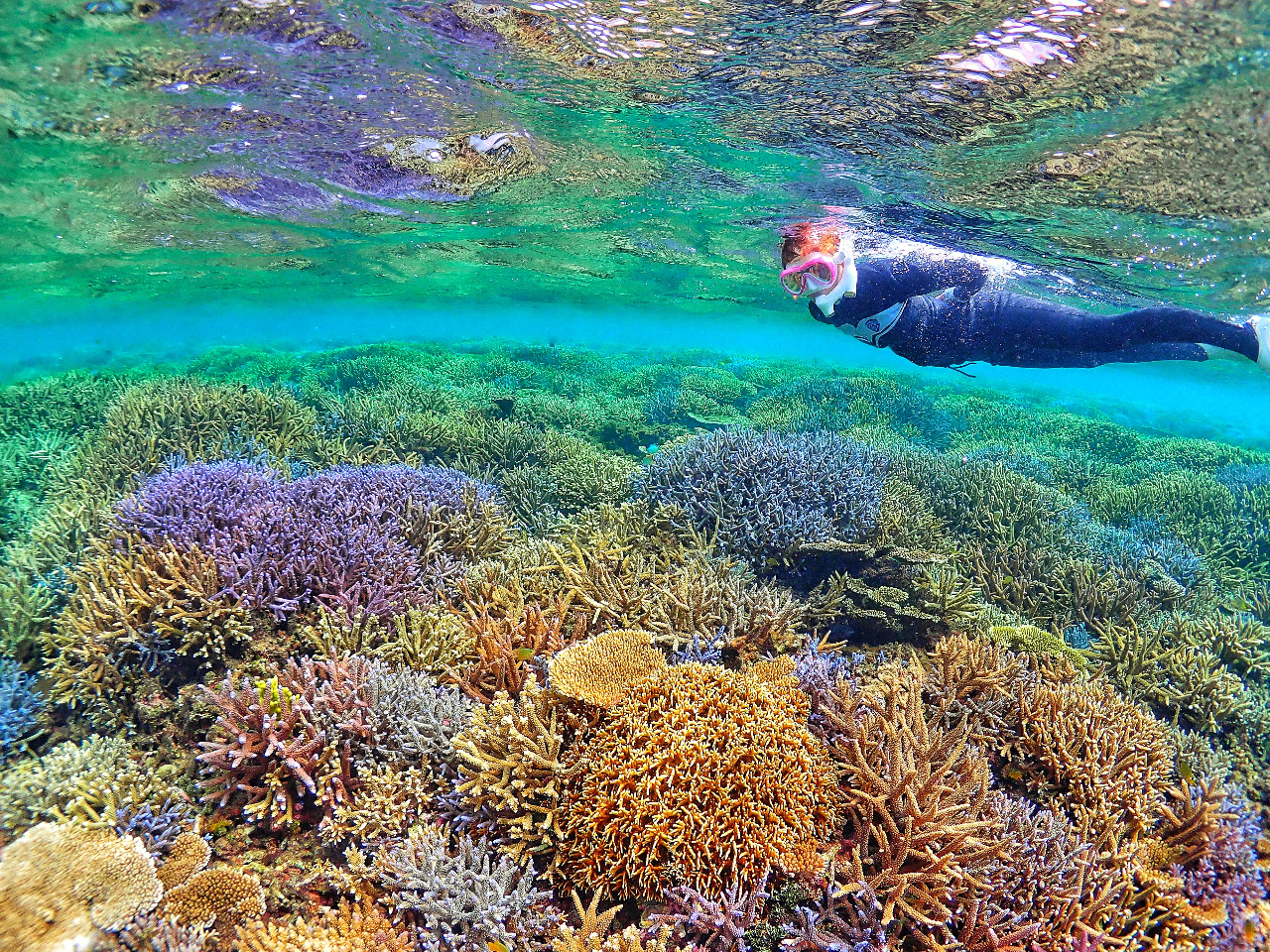 大神島】2025年大神島で唯一のボートシューノーケルツアー！受付開始