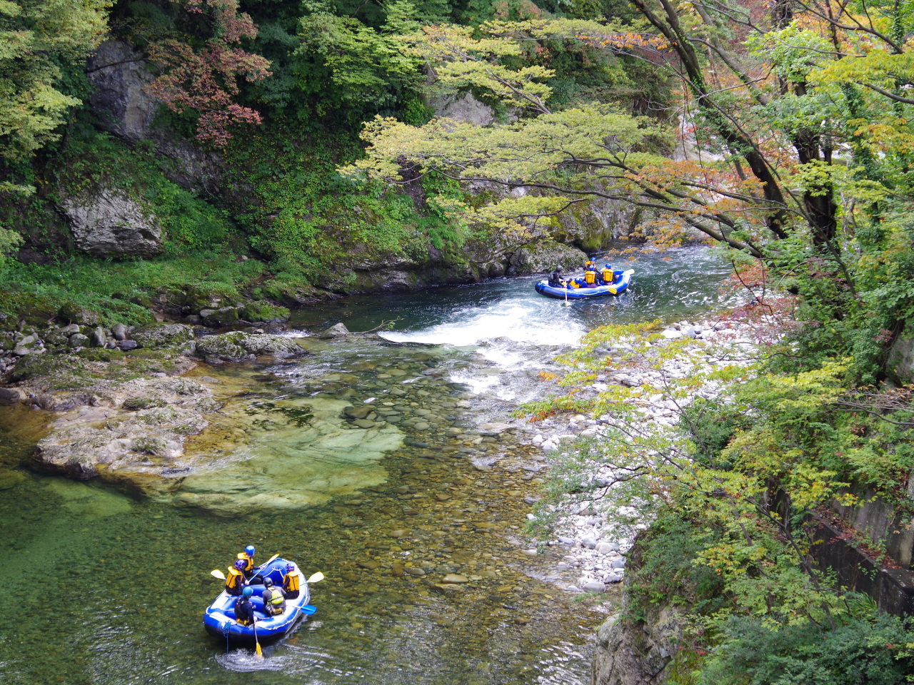 ʂLCƁAYȌkJ̌iF̖́