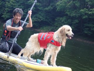 わんちゃんと一緒にSUP体験ができるプランです!