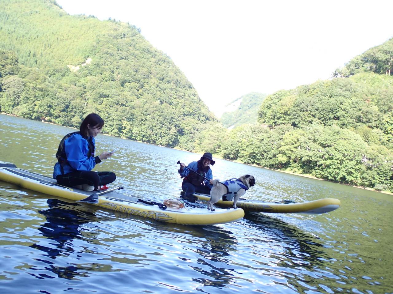 ������肨����ۋC���� �ŏ��͂��Ⴊ�񂾏�ԂŎn�߂�̂ň��S��