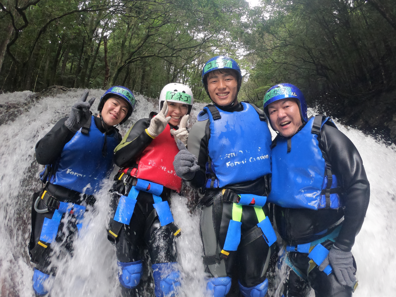 Ă̑͌邾ȂĐĝő̊悤I