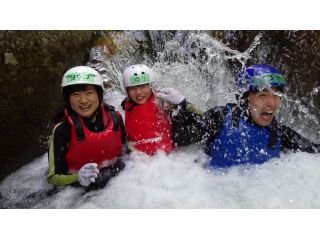 人家が1軒もない国立公園内なので、四万十水域でも抜群の水質を誇ります。