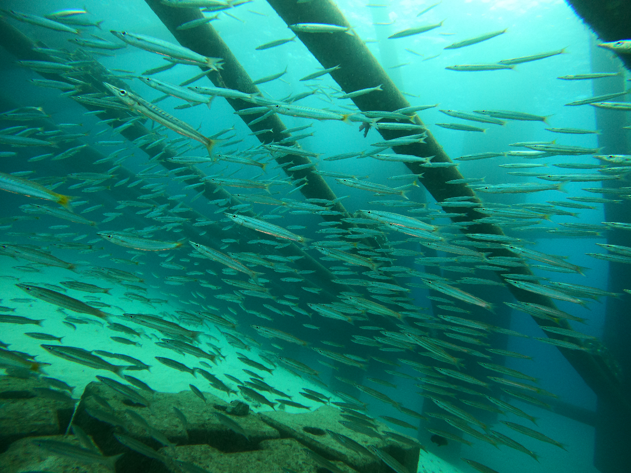 R̋Bɕ܂āAv薞i܂傤@ǂ̂Xł͂܂IX͎MāAF܂̉ꎞԂŷɂĒ܂I