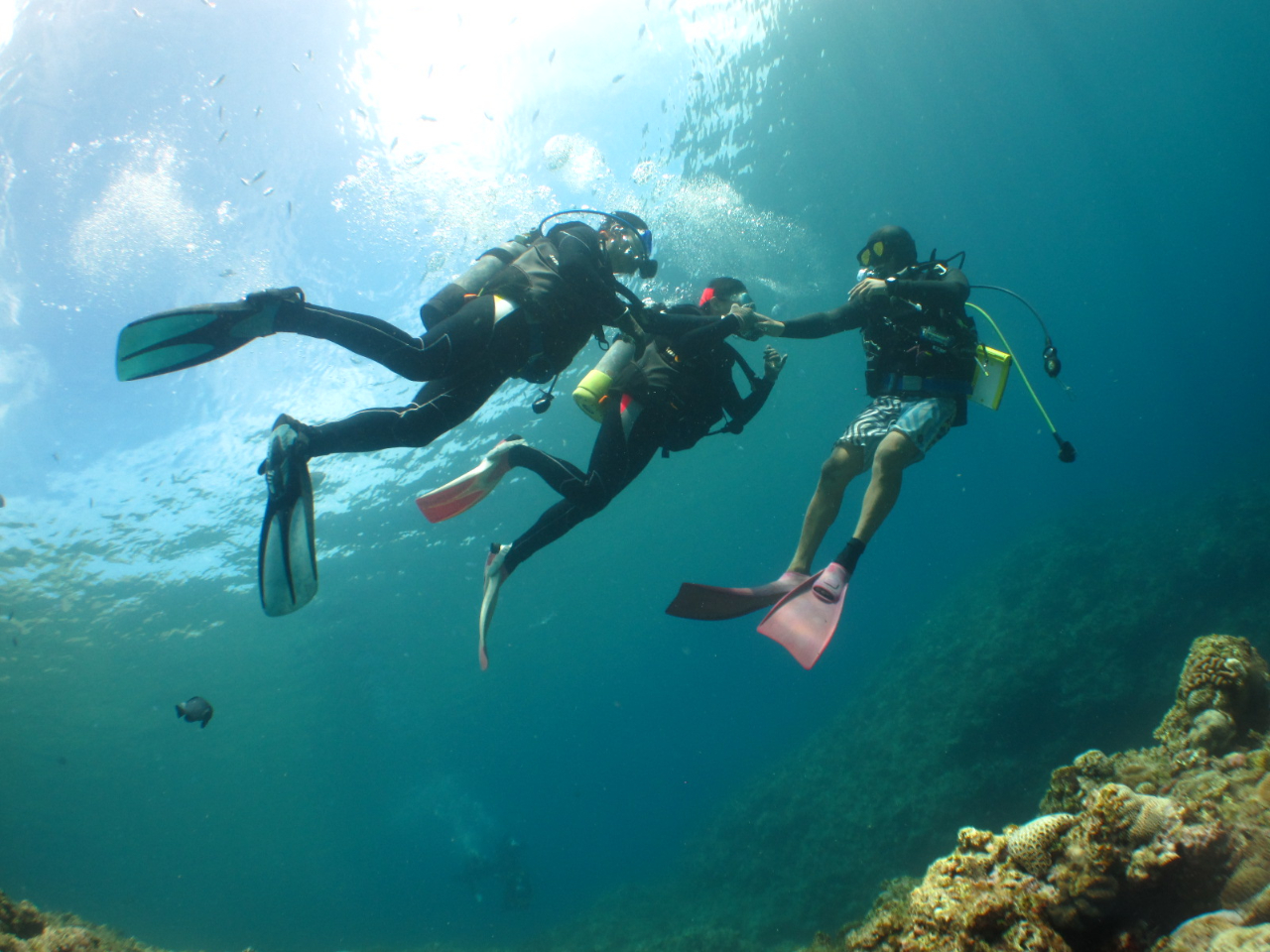 1O[vlɃKChŁAē܂B߂Ă̕AsȕSĂQqł̃T|[gOK